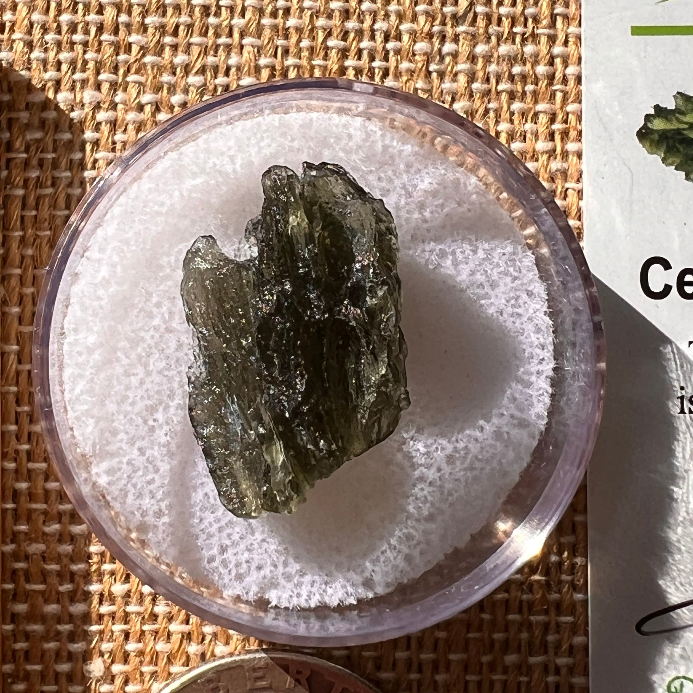 Moldavite 2.7 grams #2149-Moldavite Life