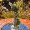 Moldavite 2.7 grams #2212-Moldavite Life