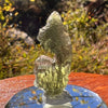 Moldavite 2.7 grams #2212-Moldavite Life