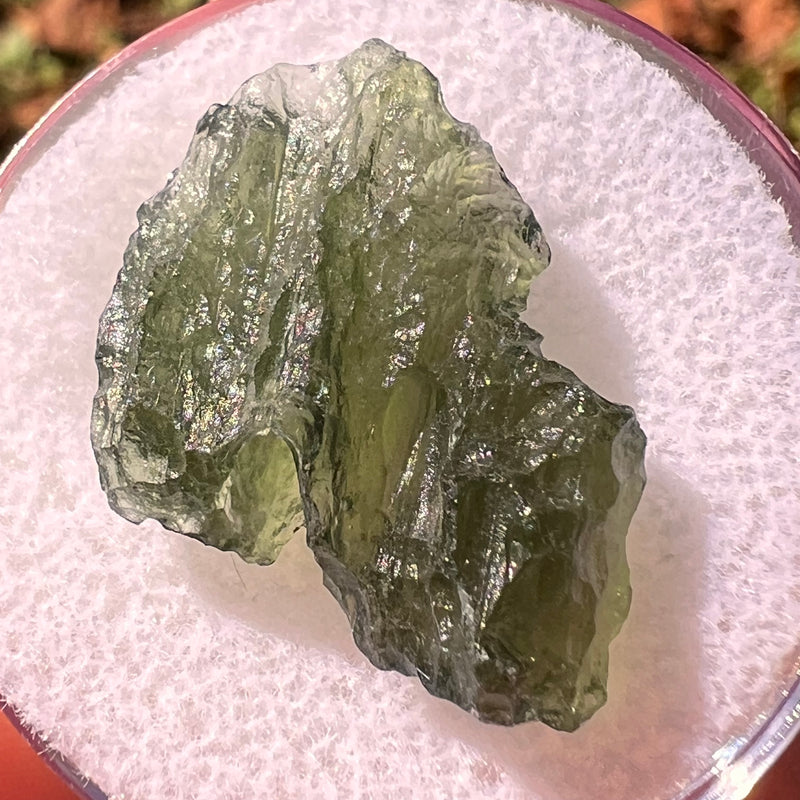 Moldavite 2.7 grams #2310-Moldavite Life
