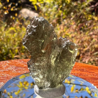 Moldavite 2.7 grams #2310-Moldavite Life