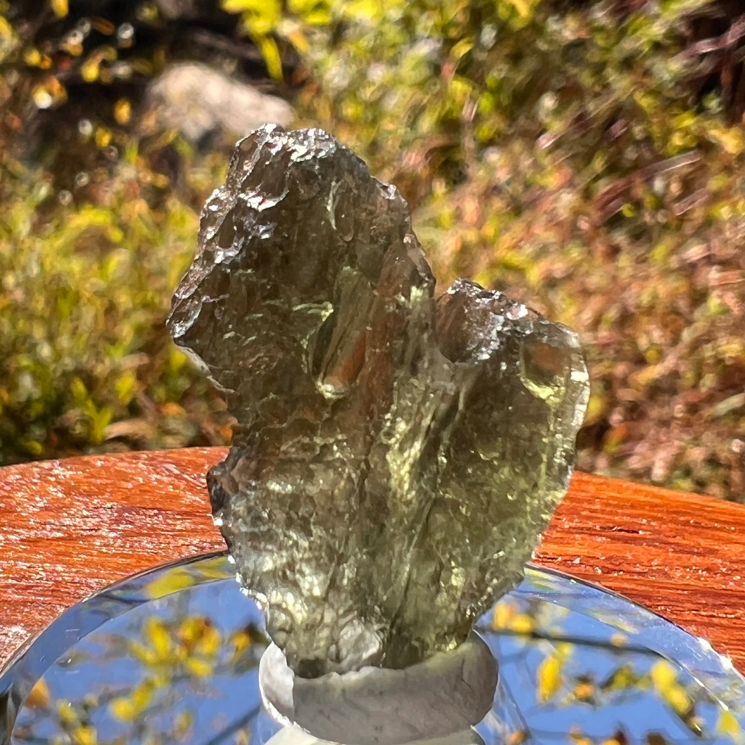 Moldavite 2.7 grams #2310-Moldavite Life
