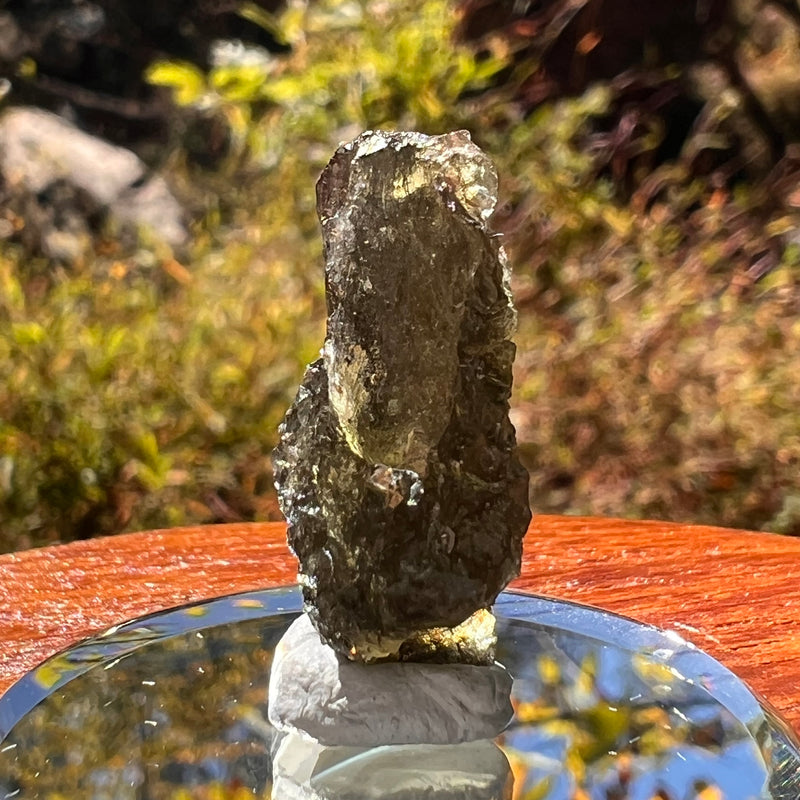 Moldavite 2.7 grams #2317-Moldavite Life