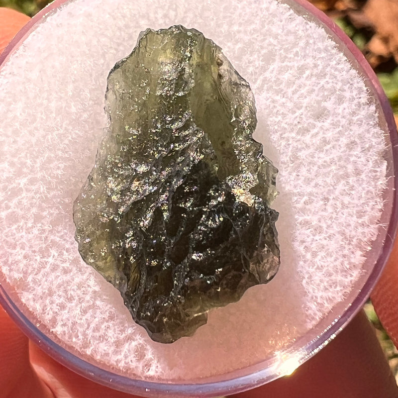 Moldavite 2.7 grams #2317-Moldavite Life