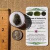 Moldavite 2.7 grams #2317-Moldavite Life