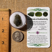 Moldavite 2.7 grams #2317-Moldavite Life