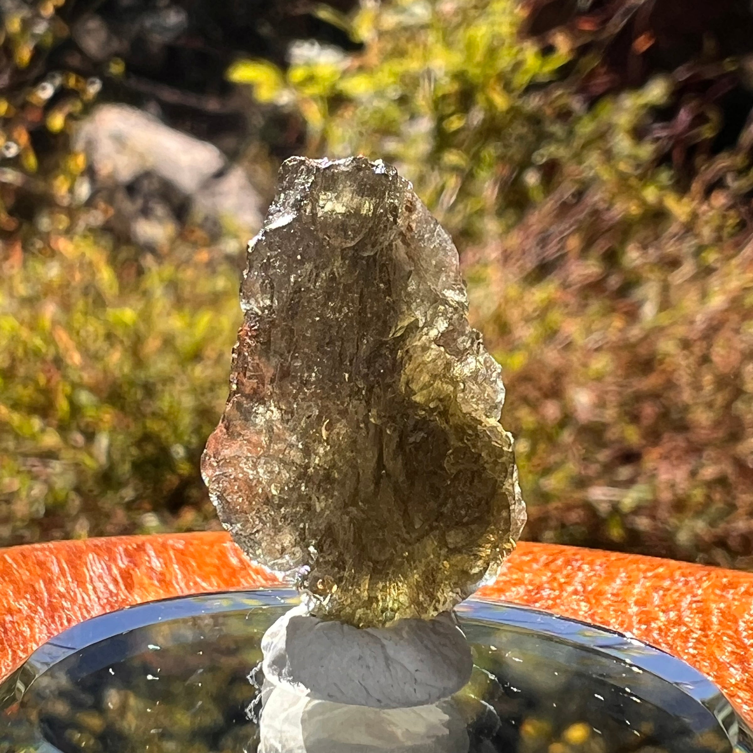 Moldavite 2.7 grams #2317-Moldavite Life
