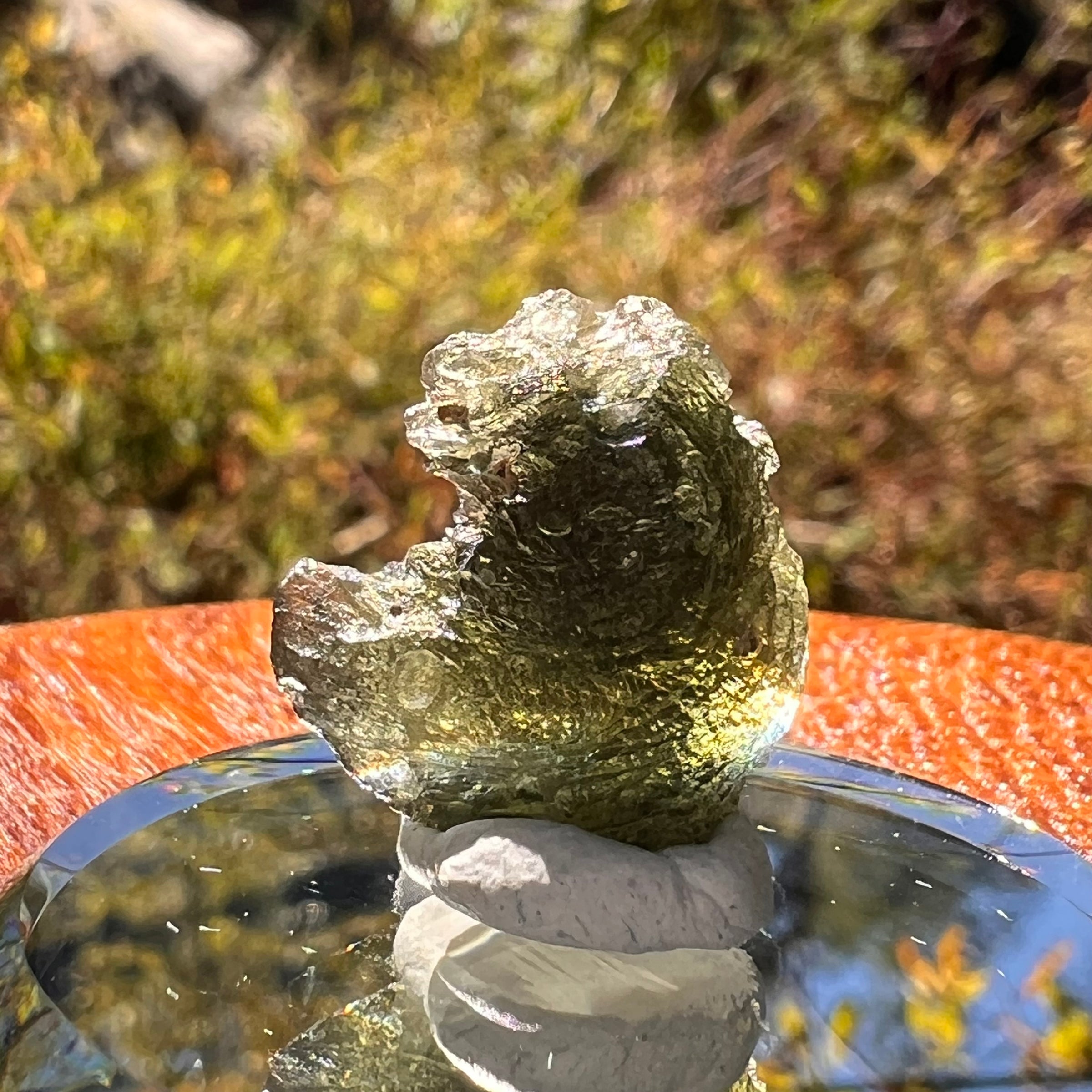 Moldavite 2.7 grams #2318-Moldavite Life