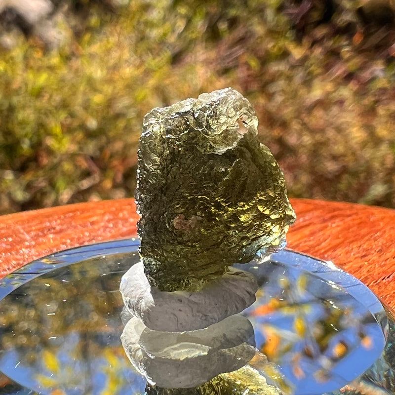 Moldavite 2.7 grams #2318-Moldavite Life