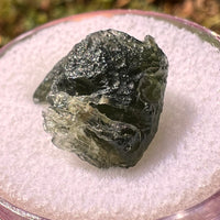 Moldavite 2.7 grams #2318-Moldavite Life