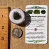 Moldavite 2.7 grams #2318-Moldavite Life