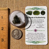 Moldavite 2.7 grams #2322-Moldavite Life
