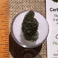Moldavite 2.7 grams #2367-Moldavite Life