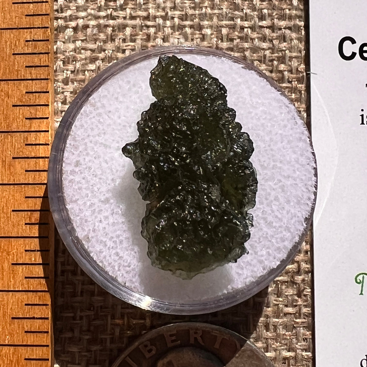Moldavite 2.7 grams #2367-Moldavite Life