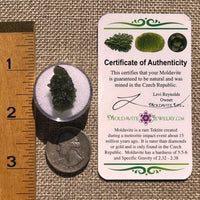 Moldavite 2.7 grams #2367-Moldavite Life