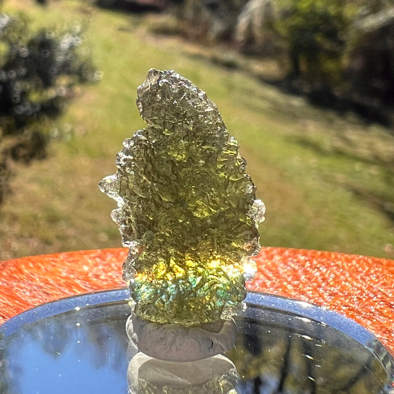 Moldavite 2.7 grams #2367-Moldavite Life