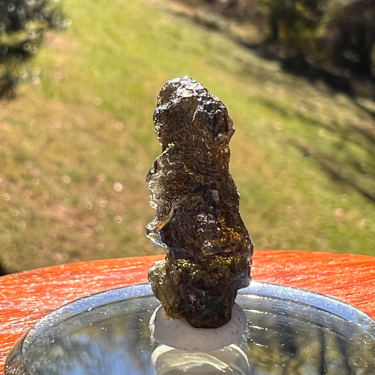 Moldavite 2.7 grams #2368-Moldavite Life