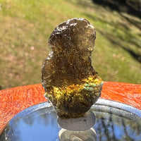 Moldavite 2.7 grams #2368-Moldavite Life