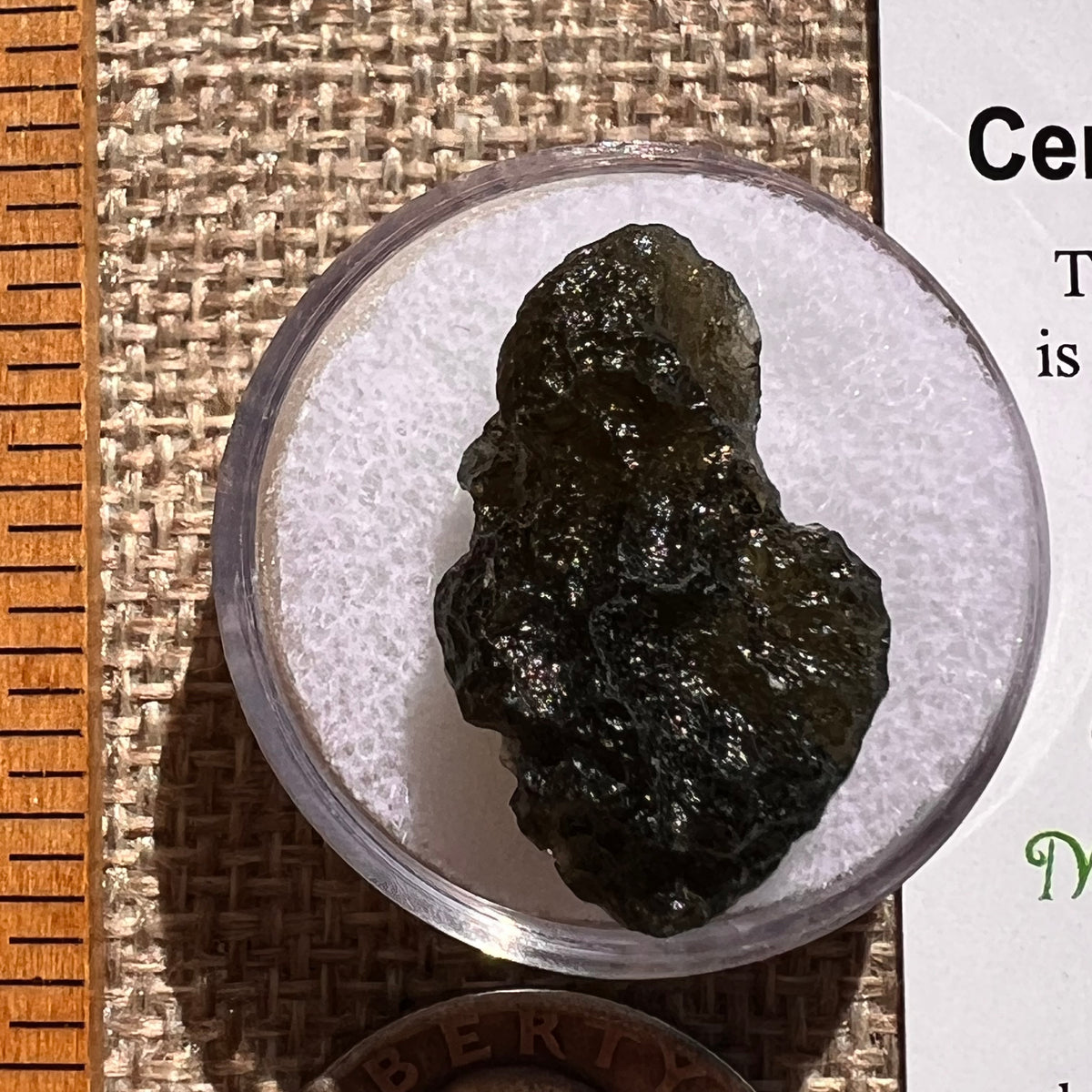 Moldavite 2.7 grams #2368-Moldavite Life