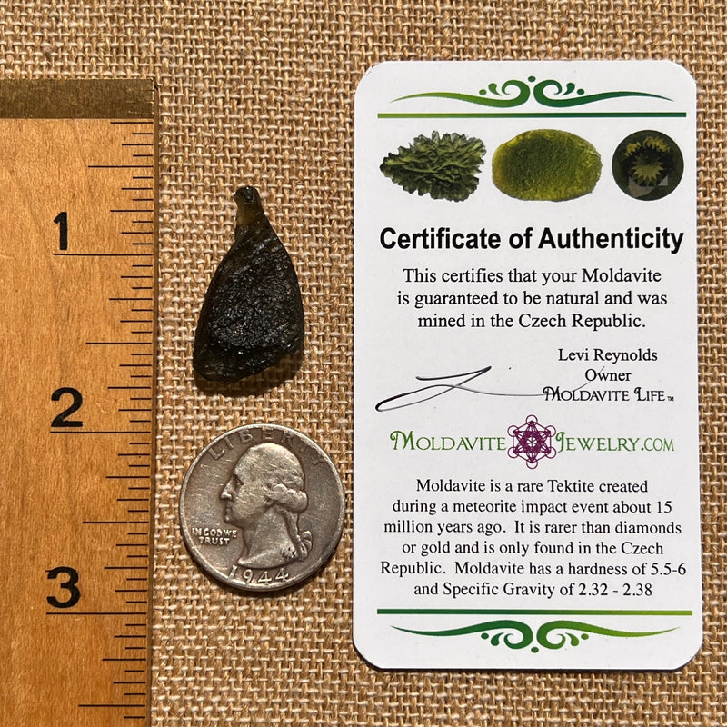Moldavite 2.8 grams #1667-Moldavite Life