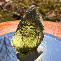 Moldavite 2.8 grams #1981-Moldavite Life