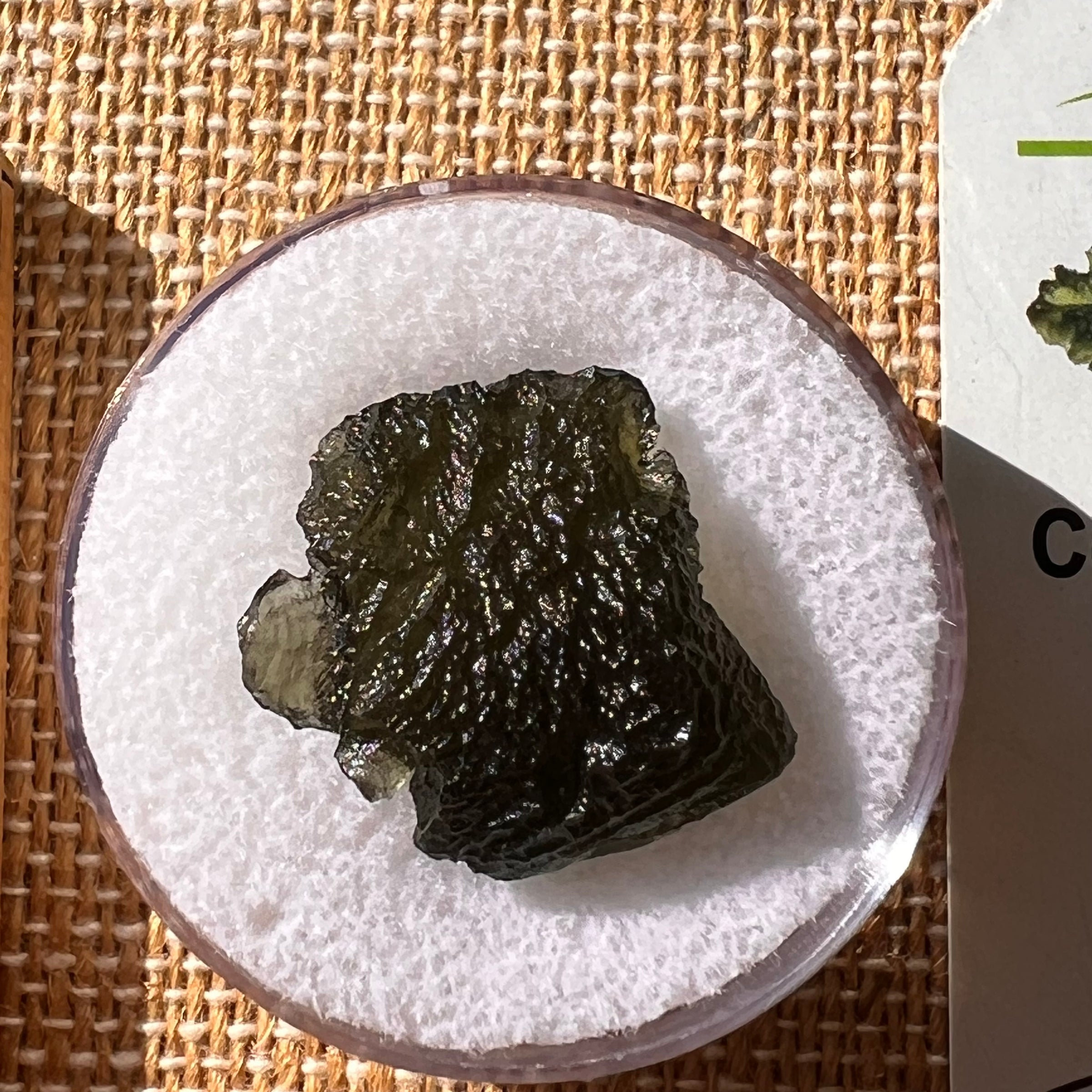 Moldavite 2.8 grams #2141-Moldavite Life