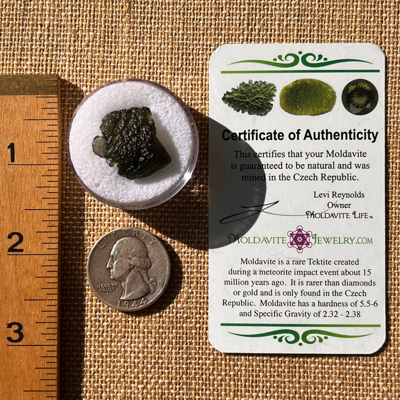 Moldavite 2.8 grams #2141-Moldavite Life