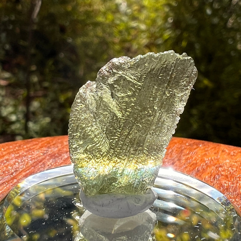 Moldavite 2.8 grams #2172-Moldavite Life