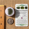 Moldavite 2.8 grams #2172-Moldavite Life