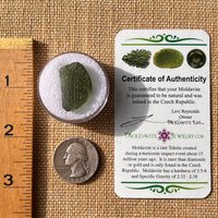 Moldavite 2.8 grams #2172-Moldavite Life