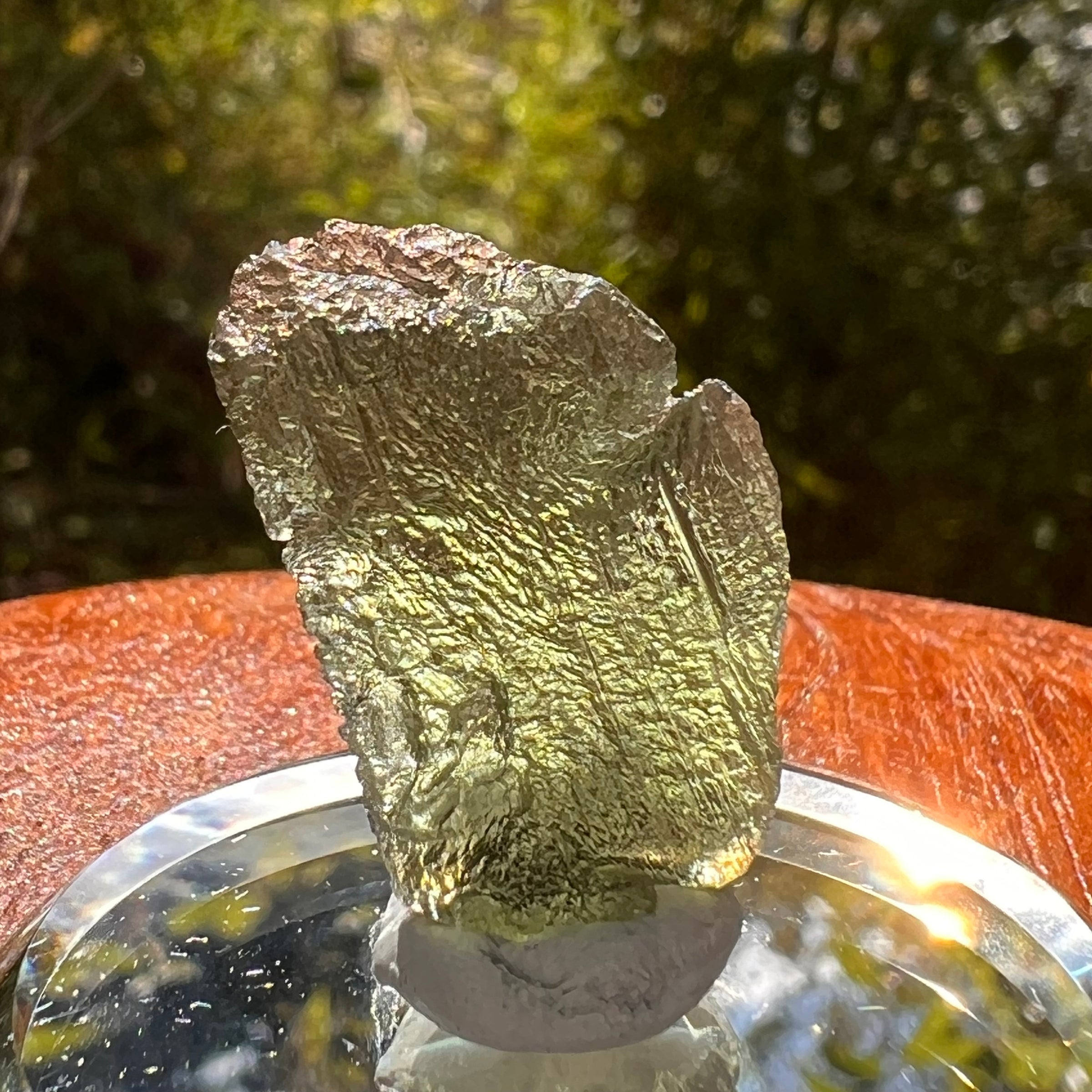 Moldavite 2.8 grams #2172-Moldavite Life