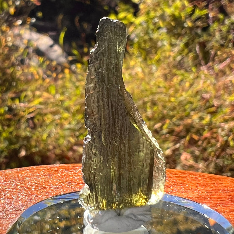 Moldavite 2.8 grams #2211-Moldavite Life