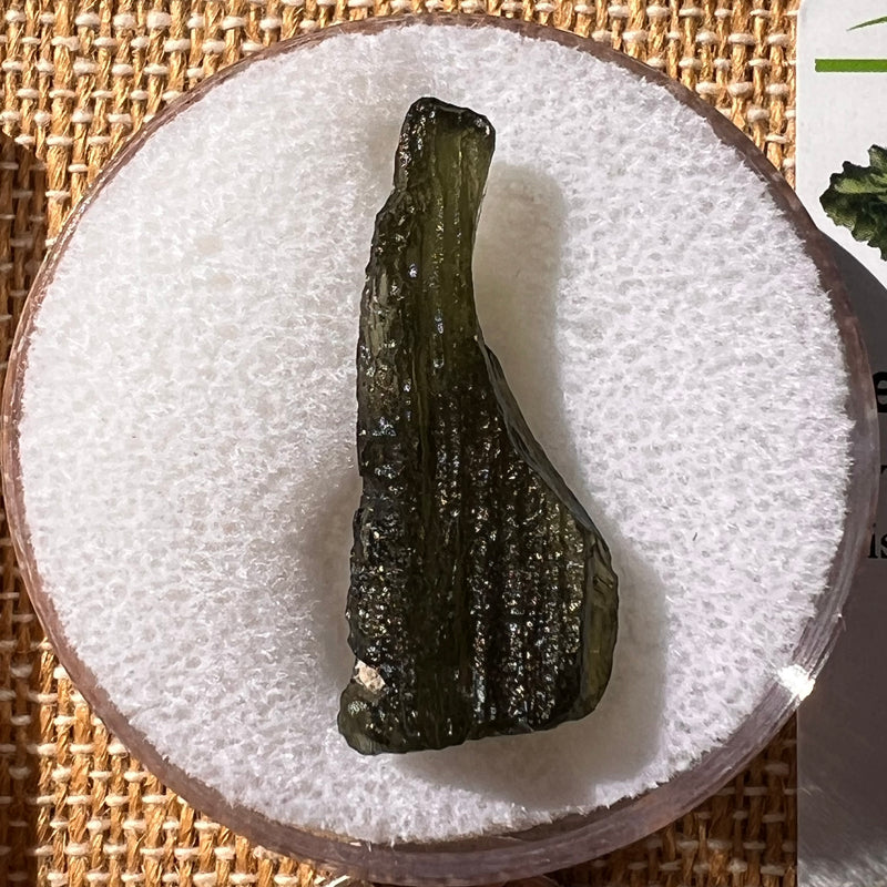 Moldavite 2.8 grams #2211-Moldavite Life