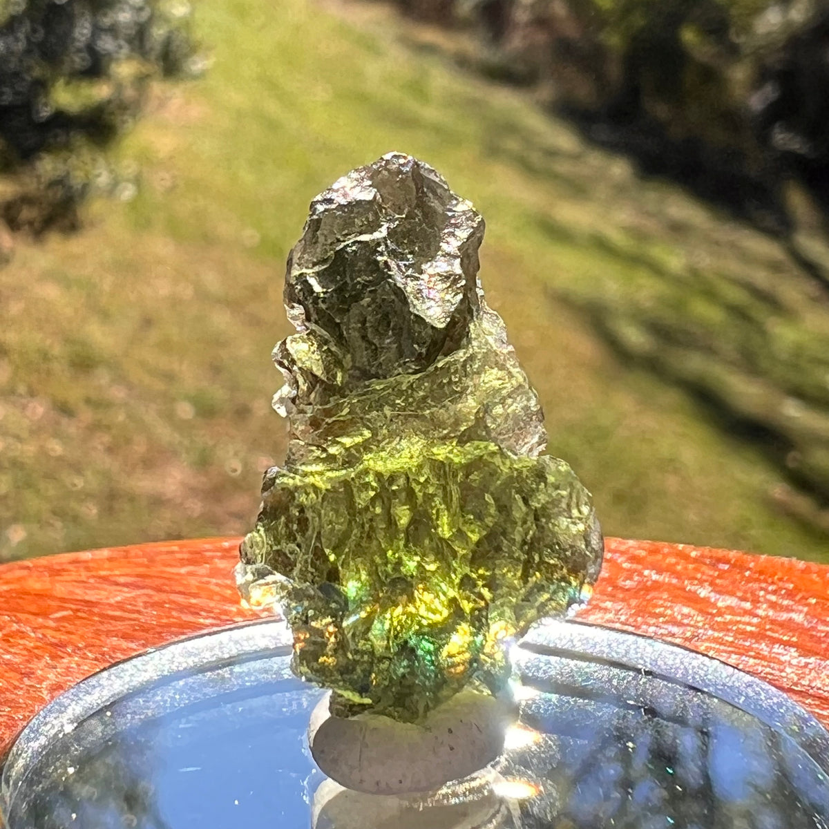 Moldavite 2.8 grams #2374-Moldavite Life