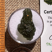 Moldavite 2.8 grams #2374-Moldavite Life