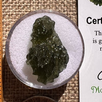 Moldavite 2.8 grams #2374-Moldavite Life