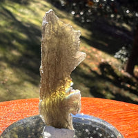 Moldavite 2.8 grams #2399-Moldavite Life