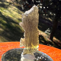 Moldavite 2.8 grams #2399-Moldavite Life