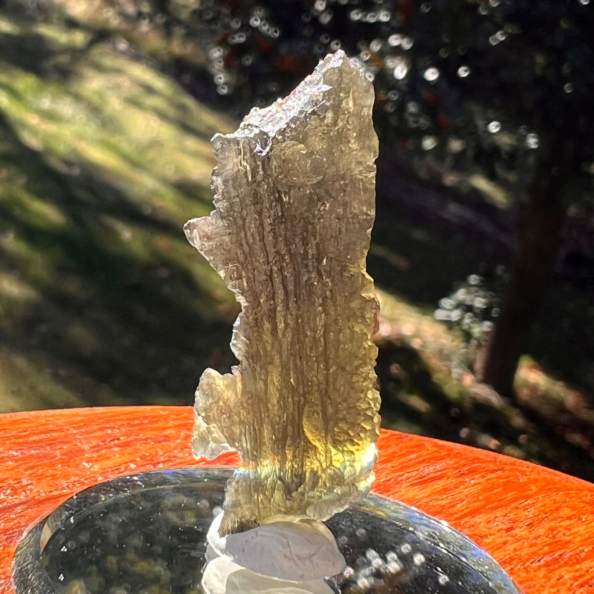Moldavite 2.8 grams #2399-Moldavite Life