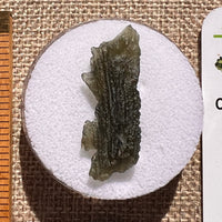 Moldavite 2.8 grams #2399-Moldavite Life