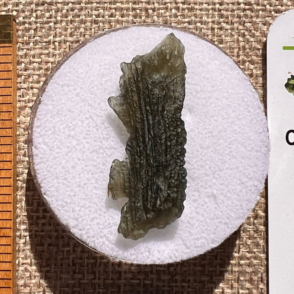 Moldavite 2.8 grams #2399-Moldavite Life