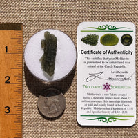 Moldavite 2.8 grams #2399-Moldavite Life