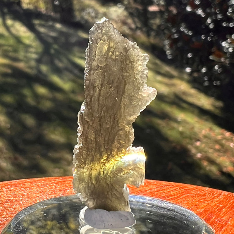 Moldavite 2.8 grams #2399-Moldavite Life