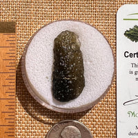Moldavite 2.9 grams #1952-Moldavite Life