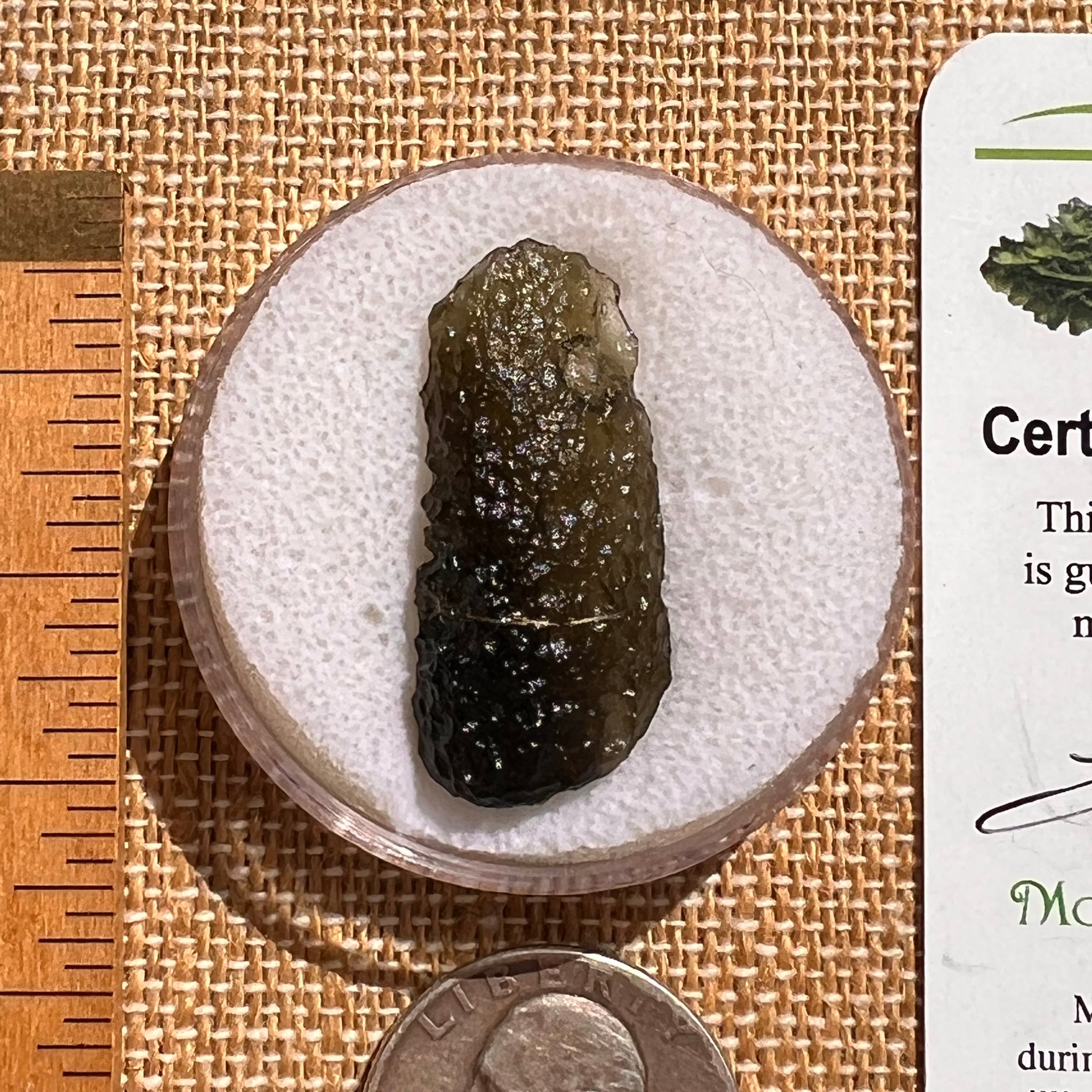Moldavite 2.9 grams #1952-Moldavite Life