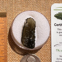 Moldavite 2.9 grams #1952-Moldavite Life