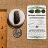 Moldavite 2.9 grams #1952-Moldavite Life