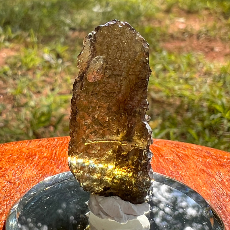 Moldavite 2.9 grams #1952-Moldavite Life