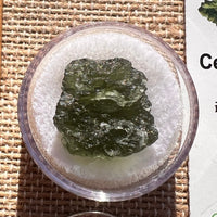 Moldavite 2.9 grams #1971-Moldavite Life