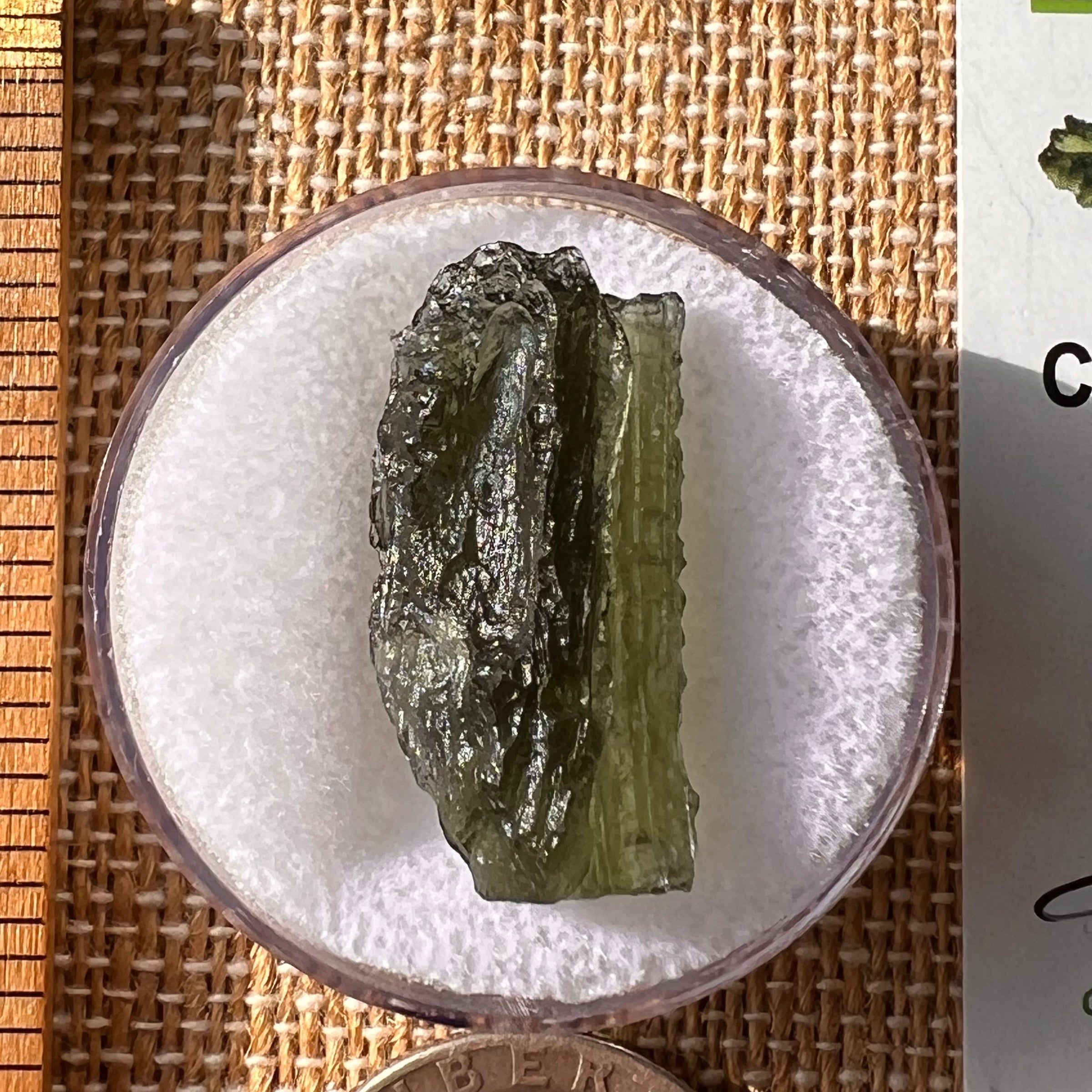 Moldavite 2.9 grams #2188-Moldavite Life